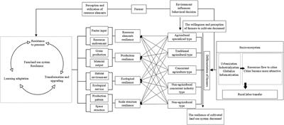 Farmer differentiation and cultivated use system resilience from a perceptive behavioral perspective: influencing mechanisms and governance strategies